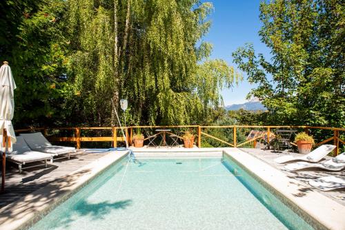 a swimming pool with chairs and a tree at Colina Del Manzano in Villa La Angostura