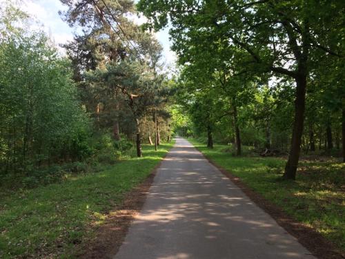 a path in the middle of a park with trees at Villa van Brienen in Dilsen-Stokkem