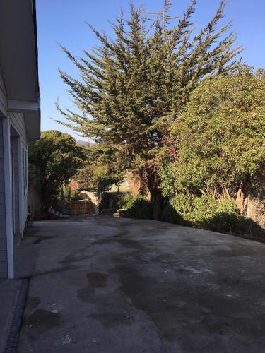 an empty driveway with a tree and a house at Cabañas RUSTICOPAPUDO in Papudo