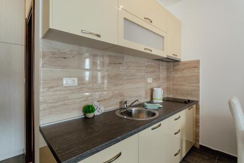 a kitchen with a sink and a counter top at Apartments Joy in Herceg-Novi