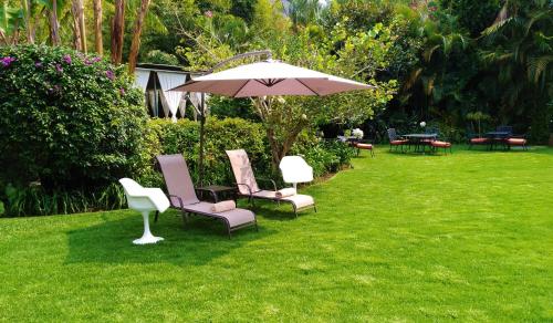 a group of chairs and an umbrella on a lawn at Areté in Tepoztlán