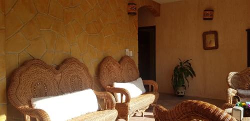 Gallery image of Hotel Mayahau Coba in Cobá