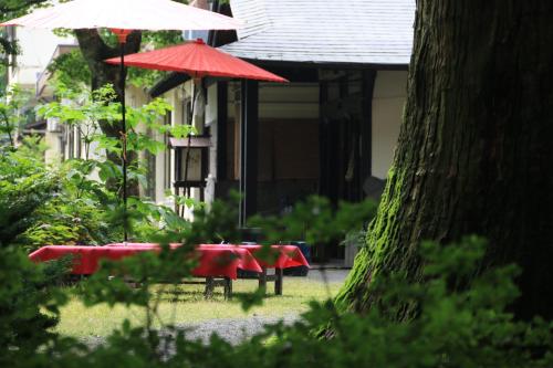 
a row of red umbrellas in front of a tree at Shukubo Kansho-in Temple Sanrakuso in Daisen
