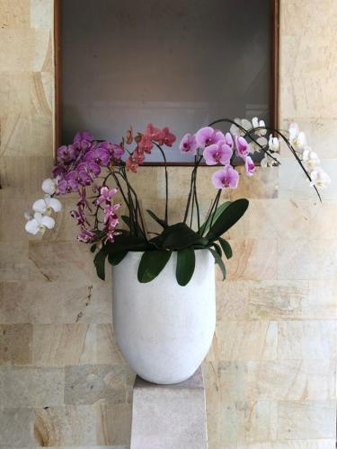 Gambar di galeri bagi Ocean Suite By A&J - Exceptional Beachfront Apartment - Candidasa di Candidasa