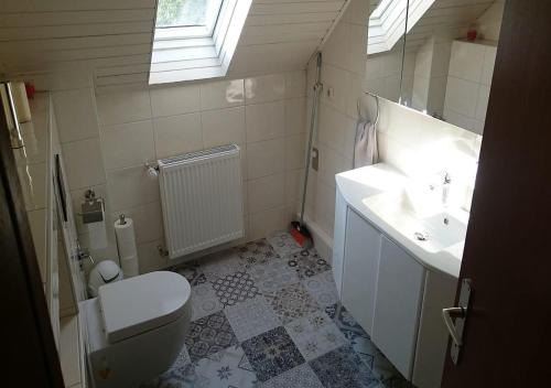 a small bathroom with a toilet and a sink at Fewoela in Eppstein