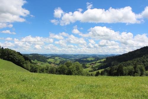 a grassy hill with a view of a valley at Hotel Hulfteggpass in Mühlrüti