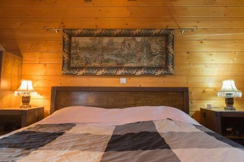 a bedroom with a bed with a painting on the wall at CHALET REGINA in Paradhísion