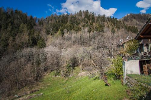 Paisaje cerca de este agroturismo