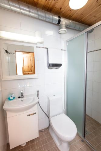 a bathroom with a toilet and a sink at Guesthouse Koli Freetime in Ahmovaara