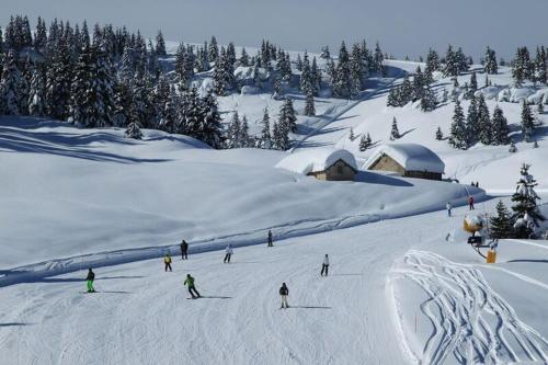 a group of people skiing down a snow covered slope at Rothaus in Folgaria