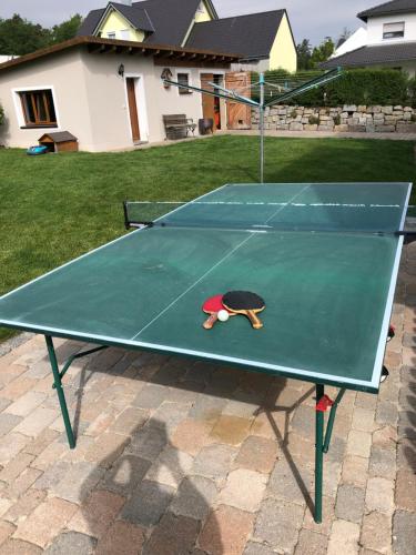 una mesa de ping pong con una pelota de ping pong. en Ferienwohnung Diedrichs, en Bodenwöhr