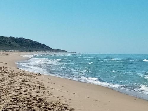 a beach with footprints in the sand and the ocean at La valle degli dei in Eraclea Minoa