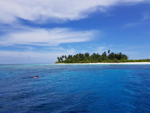 Gallery image of Village Life Maldives in Gaafu Alifu Atoll