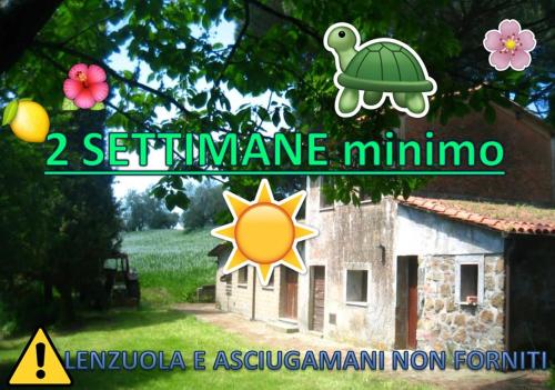 Agriturismo Villa Giada في Valentano: صورة لوحه بها سلحفاه و منزل