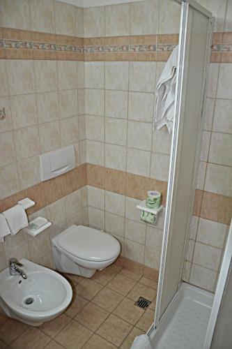 a bathroom with a toilet and a sink and a shower at Albergo Due Monti in Ateleta