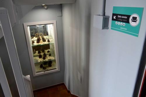 Φωτογραφία από το άλμπουμ του Albergue O Fogar de Teodomiro στο Σαντιάγο ντε Κομποστέλα