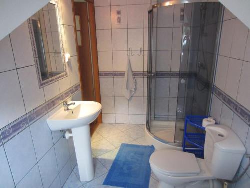 a bathroom with a sink and a toilet and a shower at Ostoja w Lipowcu in Jaśliska