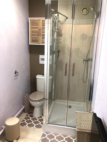 une salle de bain avec toilettes et douche en verre dans l'établissement Studio ST-MANDRIER 300m MER, à Saint-Mandrier-sur-Mer