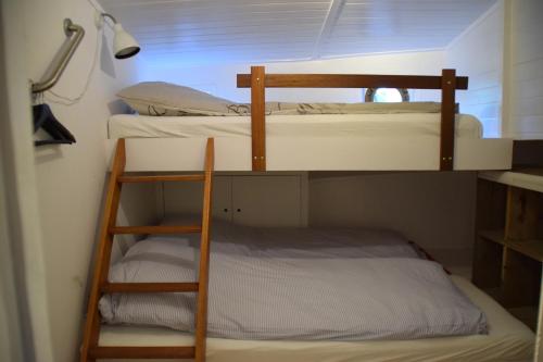 2 stapelbedden in een kleine kamer met een ladder bij Boathotel Rotterdam Anna in Rotterdam