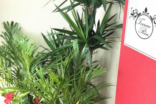 a green plant sitting on top of a wall at TerraceRin YN14 in Tomigusuku
