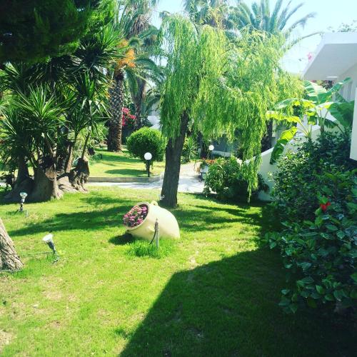 a yard with a tree and some palm trees at Palm Beach Hotel - Adults only in Kos Town