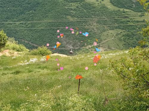 a bunch of colorful balloons in a field of grass at Rubina Bed and Breakfast in Tatʼev
