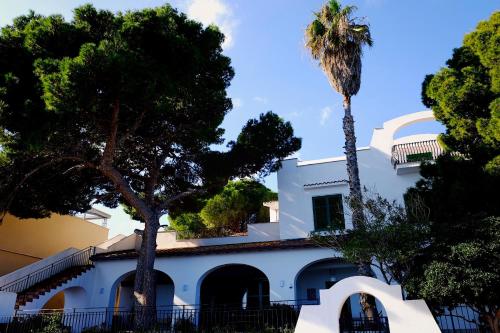 a white house with a palm tree in front of it at Villa Mallandrino in Mondello