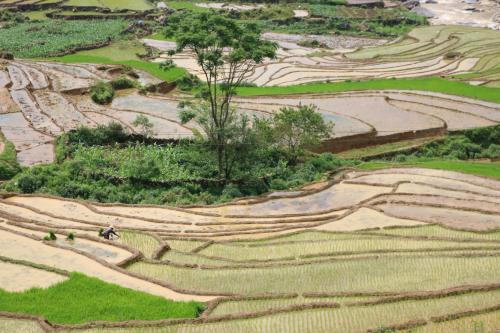an aerial view of terraced rice fields at SaPa Farmer House in Sa Pa