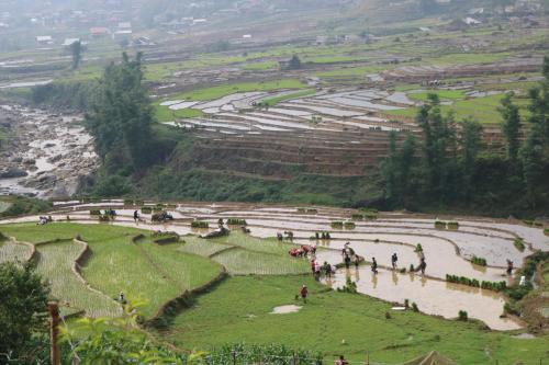 a group of people in a field on a hill at SaPa Farmer House in Sa Pa