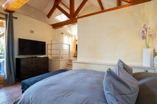 TV/Unterhaltungsangebot in der Unterkunft B&B L'Orée du Bois Bourgogne - Adults Only