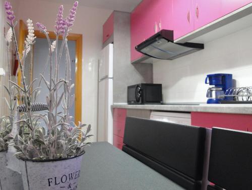 a kitchen with a table with a potted plant at Almagro a un paso in Almagro