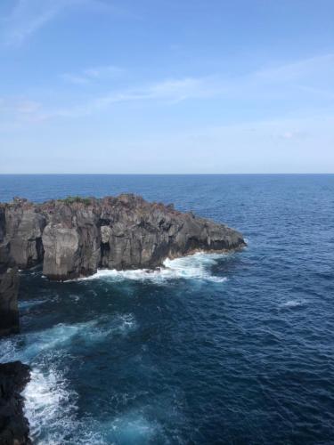 an island in the middle of the ocean at 伊道荘園 in Futo