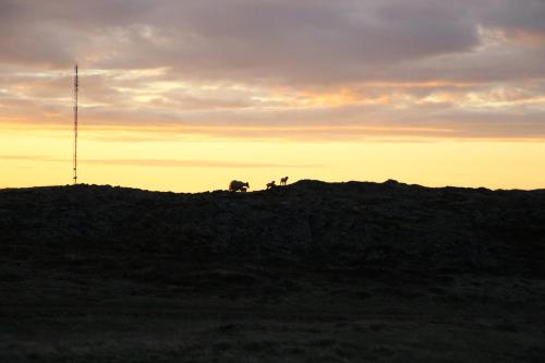a silhouette of a hill with a cell phone tower at Helgafell Guesthouse in Stykkishólmur