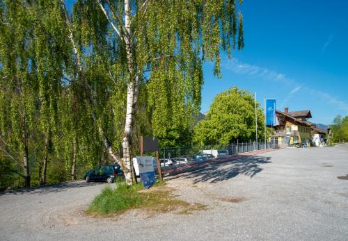 a tree in the middle of a parking lot at Seehotel Weissensee in Füssen