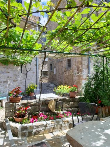 a garden with potted plants and flowers on a patio at Guesthouse Villa Marija in Motovun