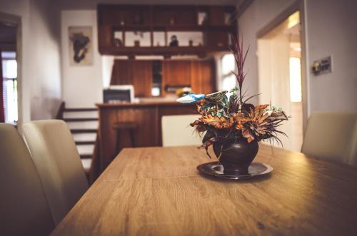 Φωτογραφία από το άλμπουμ του Apartments Bazilika σε Novalja