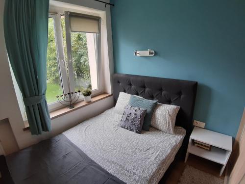 トルンにあるApartament Katrin IIのベッドルーム1室(青い壁と窓のあるベッド1台付)