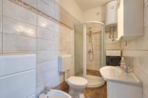 a bathroom with a toilet and a sink and a shower at Haus Glavani in Barban