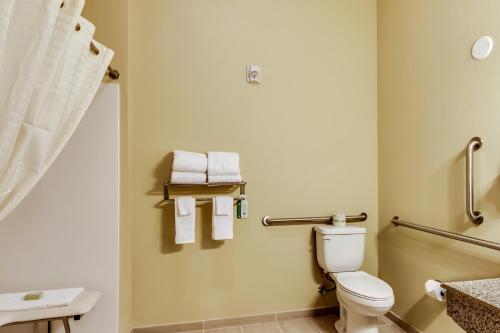 a bathroom with a toilet and a sink and towels at Cobblestone Inn & Suites - Waverly in Waverly