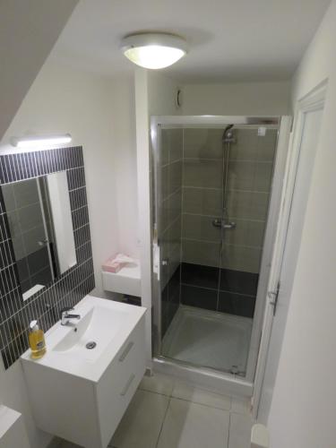 ein Bad mit einer Dusche und einem weißen Waschbecken in der Unterkunft Appartement centre historique avec Terrasse au porte de la Camargue in Saint-Gilles