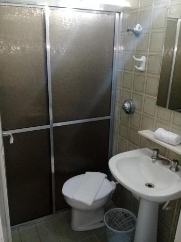 a bathroom with a shower and a toilet and a sink at Porto Seguro Office Hotel in Bauru
