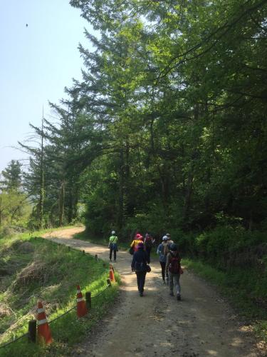 a group of people walking down a dirt road at The Guesthouse DMZ Stay in Paju