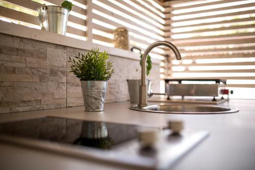 A kitchen or kitchenette at Mobile homes Ante Mali