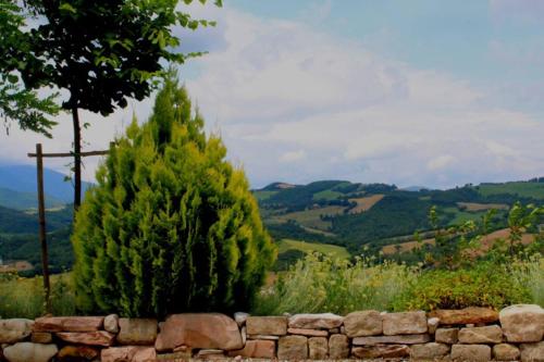a large green tree in front of a stone wall at Rustic Country House in Smirra