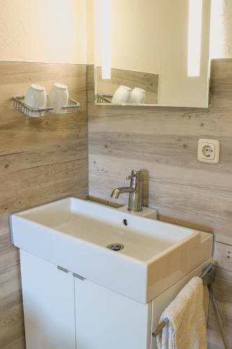 a bathroom with a white sink and a mirror at Gasthof Kornbachtal in Gefrees