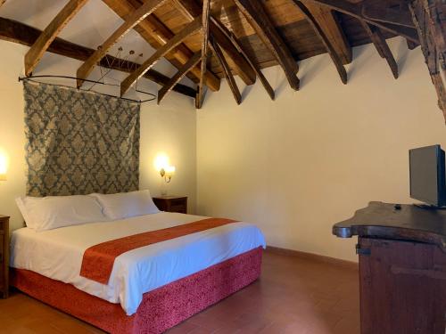 a bedroom with a bed and a tv in it at PALAZZO DE' ROSSI HOTEL in Sasso Marconi