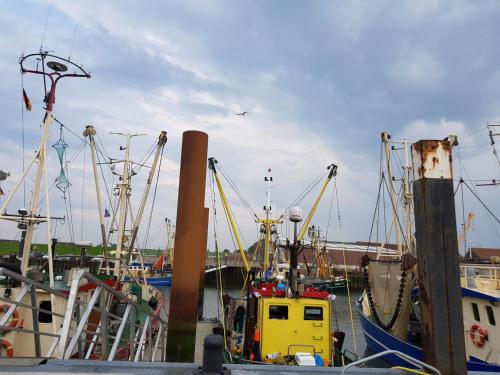 Imagen de la galería de Auszeit Norddeich I 5 Minuten zu Fuß zum Meer, en Norddeich
