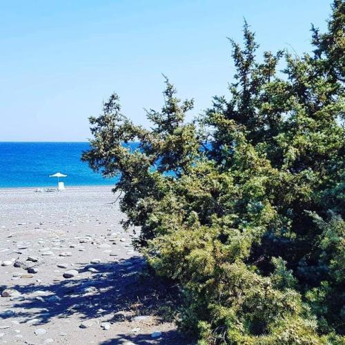 Φυσικό τοπίο κοντά σε αυτό το διαμέρισμα