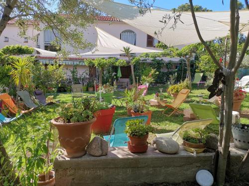 a garden with chairs and potted plants on a ledge at Hôtel Punta e Mare des Chambres ou des Appartements T2 in Cargèse