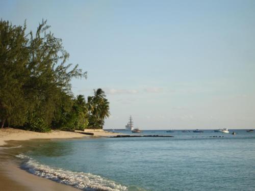 a beach with trees and boats in the water at Best E Villas Prospect St James in Saint James